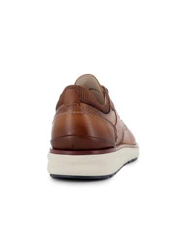 Zapato cordones de piel lisa ligero hombre brandy